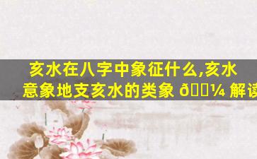 亥水在八字中象征什么,亥水意象地支亥水的类象 🌼 解读